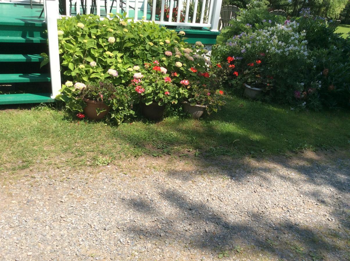Gite Macdale B&B Paspebiac Exterior photo